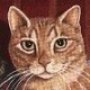 Picture of Vicki Frei